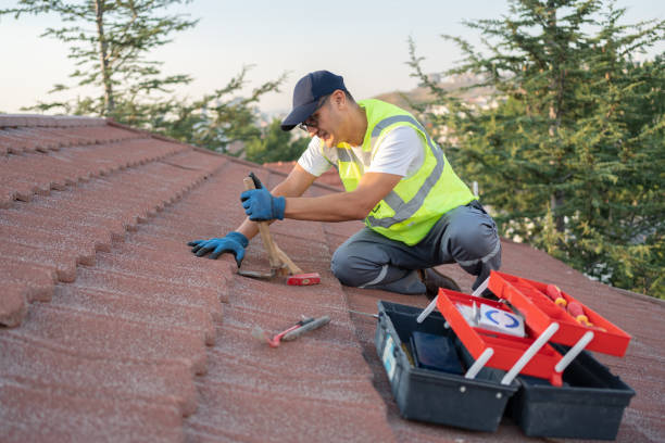 Best Roof Replacement Cost  in Cerro Gordo, IL